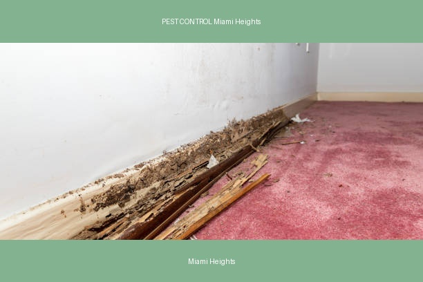 PEST CONTROL Miami Heights